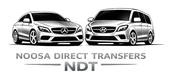 NDT Logo